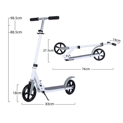 ROHS Two Wheel Kick Scooter With Handbrake Rear Logo Printing