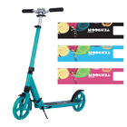 Outdoor Sports 100KGS Girls 2 Wheel Scooter 14cm  Kick Scooter With Disc Brake