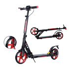 Alloy 100KGS Height Adjustable Disc Brake Scooters EN 100KGS Pro Freestyle Scooter