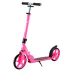 Adult Aluminum Two Wheel Kick Scooter With Beautiful Sand Stickers