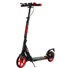 220Ibs Adjustable Two Wheel Kick Scooter For Children Teen
