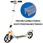 Steel Aluminum Urban Pedal Folding Kick Scooter For Adult