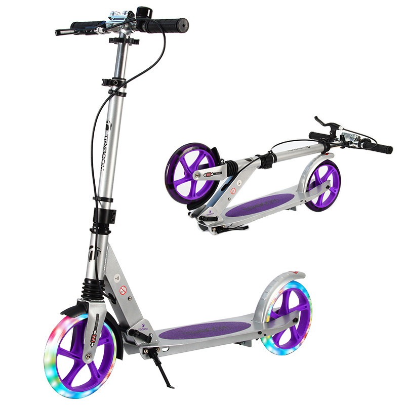 Self Balancing 2 Wheel Scooter 100kgs Load Foldable Kick Scooter